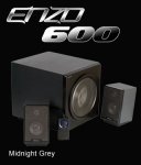 1028_enzo600-3.jpg