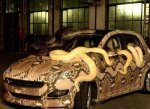 snake_car_2.jpg