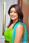 Payal Ghosh (65).JPG