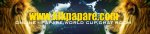 Banner.jpg