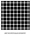314345_169114419847006_166526320105816_326245_1530390371_n.jpg