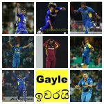 gayle.jpg