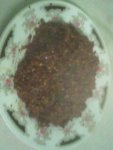 IMG0259A.jpg