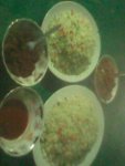 IMG0261A.jpg