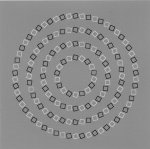 brain-optical-illusion-circles.jpg