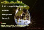 cancer    045-5786680(Sumith shop).jpg