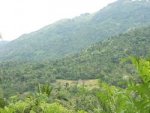 DSCN4852.JPG