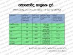 419645_2697779416315_1611514218_2019594_175331068_n.jpg