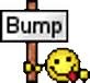 bump.jpg