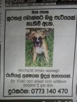 Lankadeepa.jpg