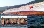 costa-concordia-cruise-ship-sinks-877164922.jpg costa-concordia-cruise-ship-sinks-877164922.jpg