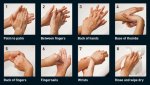 8_steps_hands new.jpg 8_steps_hands new.jpg
