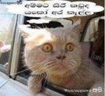 Fb-photocomments.blogspot.com-2jja.jpg