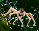 photoshop6.jpg