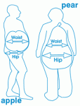 body-shape.gif