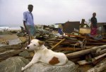 tsunami-srilanka-2004-25.jpg
