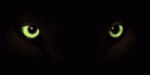 g14.gif