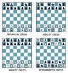 26461-114131-9c9f7c3de8a337e21165bab121d7b7fb.jpg