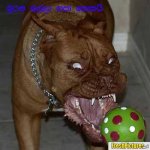 Bad Dog.jpg