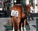 out of service.jpg