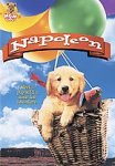 Napoleon, Muffin the Adventurer Puppy.jpg