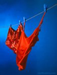 clothesline.jpg
