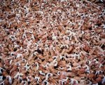 rsz_1nude-art3.jpg