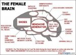 Cartoon Jokes (50).jpg