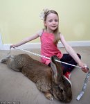 biggest-rabbit2.jpg biggest-rabbit2.jpg