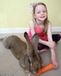 biggest-rabbit3.jpg biggest-rabbit3.jpg