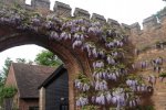 DSC00355.jpg