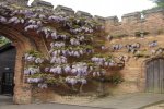 DSC00356.jpg