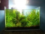 20140430_1448341.jpg