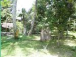front garden with well.JPG