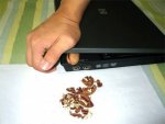 Laptop Funny (1).jpg