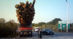 heavyload_transport_china_02.jpg