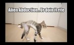Funny-UFO-Abduction.jpg