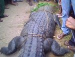 IMG0125A.jpg