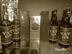DSC017351.jpg