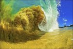 Sea_Wa_2161_Clark-Little-Photography.jpg