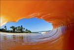 Sea_Wa_2161_Clark-Little-photos.jpg