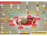 derivatives_of_the_swine1.jpg