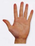 How-To-Read-Palms-Fire-Hand.jpg