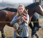 tallest_cat_world_086.jpg