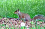 IMG_0033.JPG