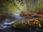 autumn-colors_27164_600x450.jpg