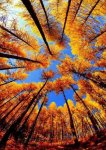 d0aa0a34f44bcb528b9ba844ab50b3f7.jpg