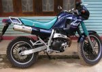 PICT9073.jpg