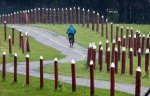 creative_fences_collection_06.jpg