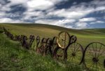 creative_fences_collection_09.jpg